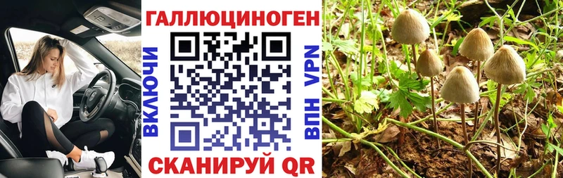 Псилоцибиновые грибы Cubensis ссылка на мегу ссылки Аша